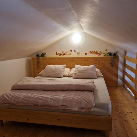 Apartmany Sophia 5 A 6 Velké Losiny 외부 사진
