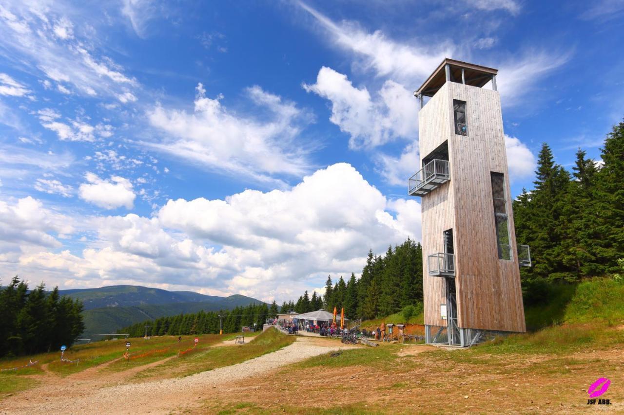 Apartmany Sophia 5 A 6 Velké Losiny 외부 사진
