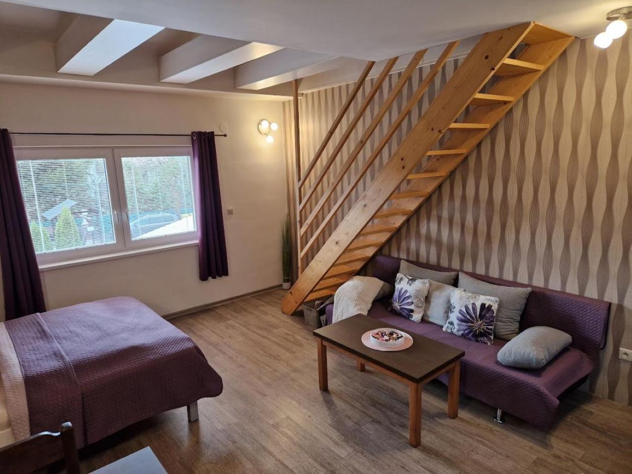 Apartmany Sophia 5 A 6 Velké Losiny 외부 사진